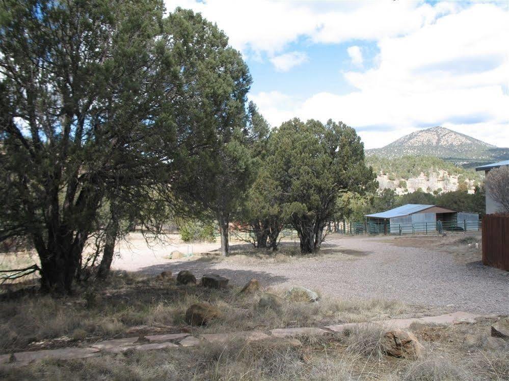 Bear Mountain Lodge Silver City Ngoại thất bức ảnh